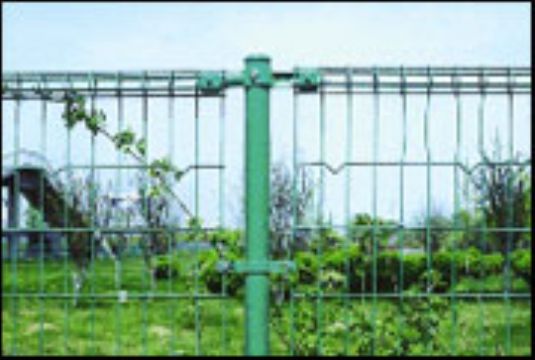 Wire Mesh Fence